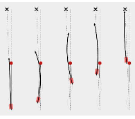 Beregning af Dynamisk spine